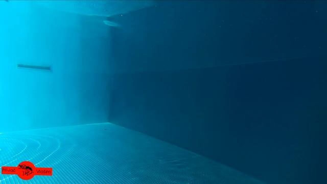 Keitech Swing Impact Fat смотреть онлайн