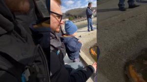 Форелевое хозяйство, Сочи! Классная экскурсия! Отдых в Красной Поляне с детьми!