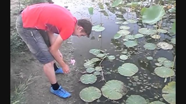 P7310006 смотреть онлайн