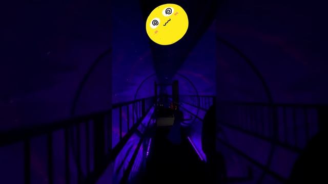 Музей иллюзий / было весело😆