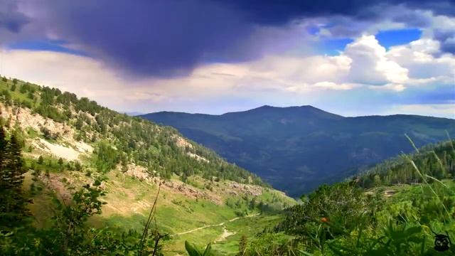Правильное и здоровое питание смотреть онлайн