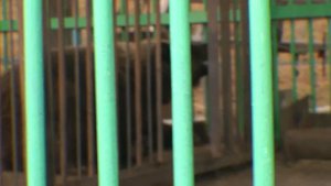 Первые 2 дня поездки на Калыму