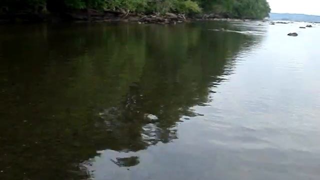 Cammino nel fiume смотреть онлайн