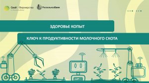 Здоровье копыт: ключ к продуктивности молочного скота