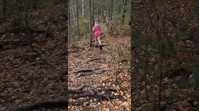 Усьвинские столбы смотреть онлайн