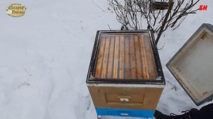 пасека декабрь верхняя вентиляция