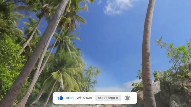 ОТЛИЧНАЯ МУЗЫКА.ПРЕЛЕСТНЫЕ ДЕВУШКИ. смотреть онлайн