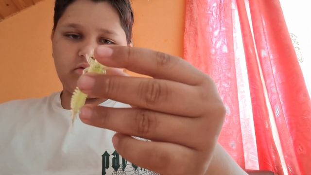 Первое видео,обзор блёсен и силиконок🤠 смотреть онлайн