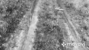 Domino Oxia Stels techno Изоляция