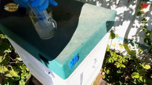 пасека, обработка от клеща