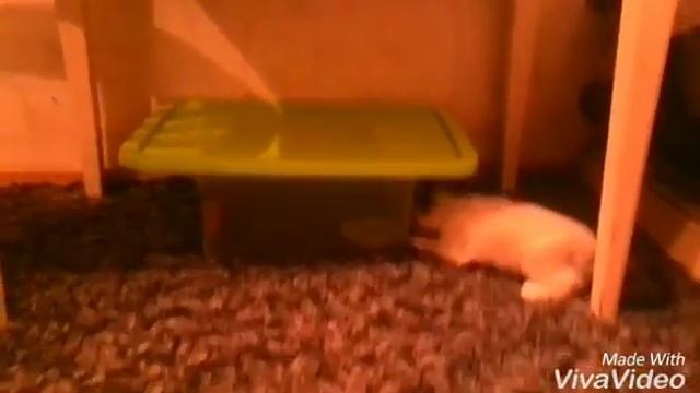 Кто в теремочке живет смотреть онлайн