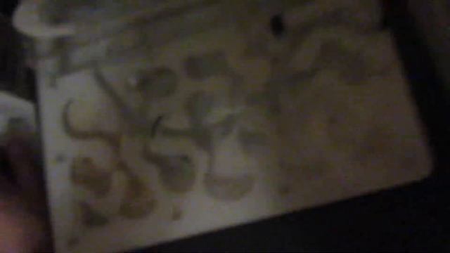 муравьиная ферма # 54 смотреть онлайн