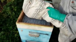 пасека. утепление пчелиных семей в зиму, подушки из мха