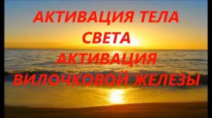 15 01 2016  АКТИВАЦИЯ ТЕЛА СВЕТА  АКТИВАЦИЯ ВИЛОЧКОВОЙ ЖЕЛЕЗЫ