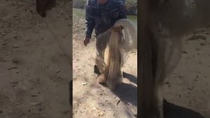 Как набрать намёт ( накидка рыболовная) дедовский способ от Васильевича