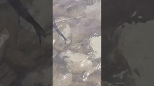 29 мая 2023 г. смотреть онлайн