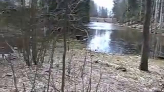 Наслаждаюсь природой Сертолово