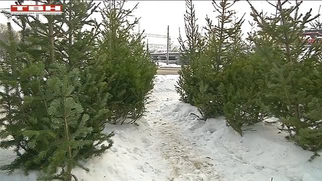 Елочные базары заработали смотреть онлайн