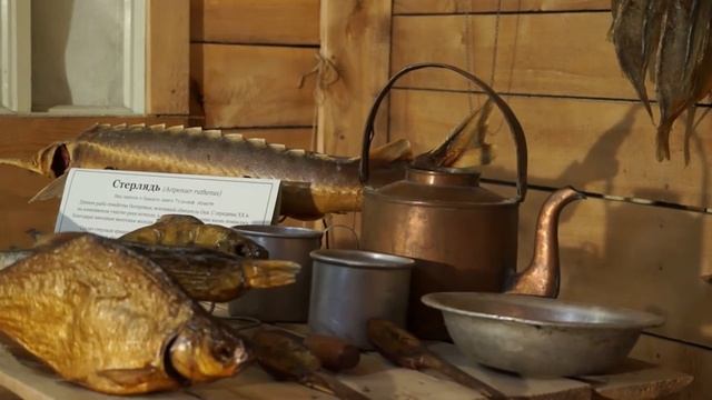 Видео выставка "Рыбный промысел на Оке - от истории к современности. смотреть онлайн