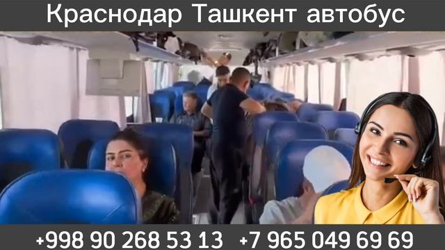 Краснодар Ташкент автобус #краснодар #ташкент #автобус