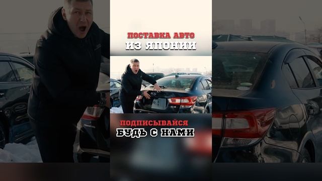 Большой привоз из Японииавтомобили под полную пошлину #японскиеаукционы #автоподзаказ #shorts