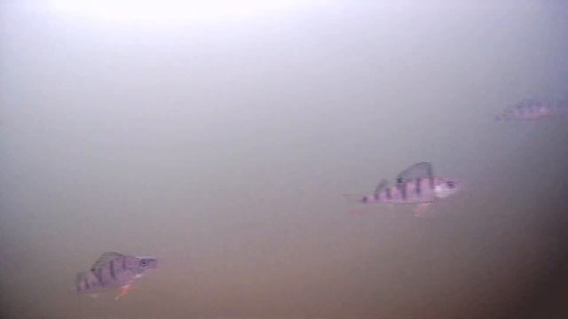 20170102 095502 00000017 00N смотреть онлайн