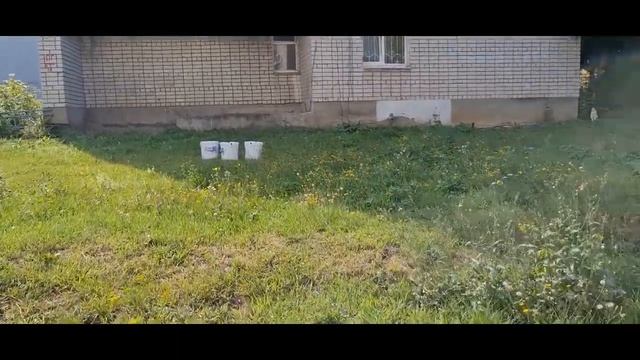 Видеоотчет. Утепление квартиры с помощью сверхтонкой жидкой теплоизоляции RE-THERM