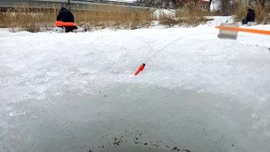 Ловля плотвы на мормышку зимой