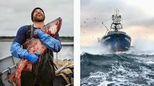 Песня Баренцево море от моряка, работавшего на рыболовецких судах в Баренцевом, Норвежском морях.