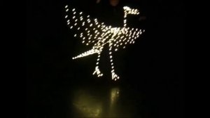 Шоу световых кукол