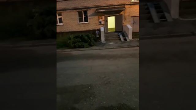 персика ловит пол дома.😹😹💔 смотреть онлайн