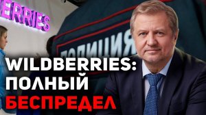 Wildberries： столкновение КЛАНОВ. Что дальше？