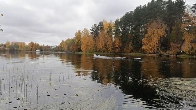 тервеничи