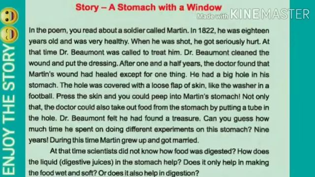 Class:- 5th,Sub:- EVS,Lesson No 2. Topic:- Martin's Window. смотреть онлайн