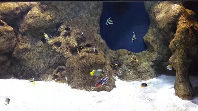 Клайпеда, морской музей 2 смотреть онлайн