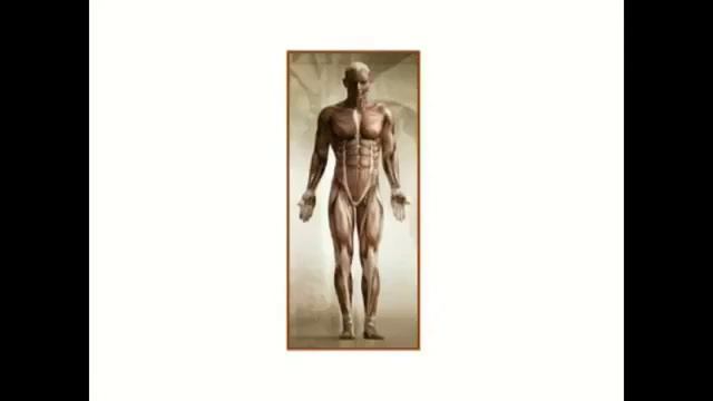 LR ПроБаланс: не дай себе закиснуть смотреть онлайн