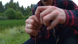 ВЫЖИВАНИЕ с МУЛЬТИТУЛ за 200 рублей. Проверил на полезность