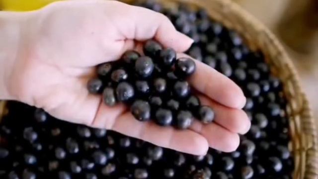 Вся польза ягод Асаи смотреть онлайн