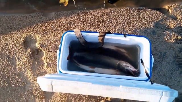 РЫБАЛКА НА ВЫХОДНЫЕ!!! смотреть онлайн