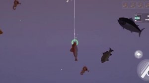 Море Города и Новый Год! Прохождение игры fishing & life.