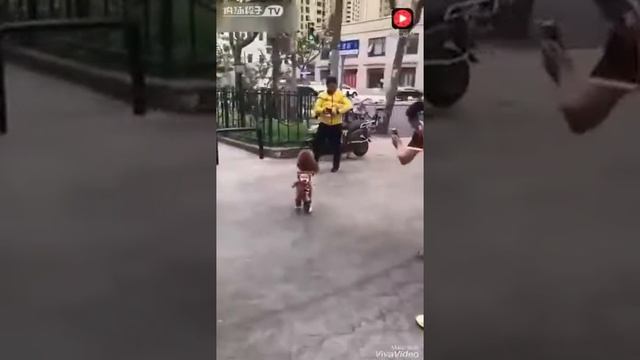 Самый лучший ребенок!!! смотреть онлайн