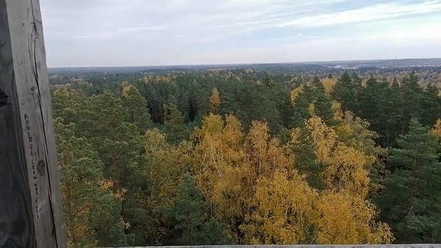 Вид с вышки. смотреть онлайн