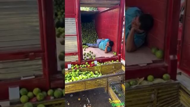 Моя трудоспособность на этой неделе