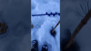 Новая , установка  крючков на ( налима ).