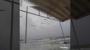 Путешествие в Калининград ноябрь 2021