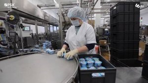 Работа Талицкого молочного завода