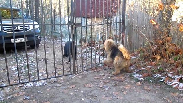 Я здесь, Инезилья, Я здесь под окном. смотреть онлайн