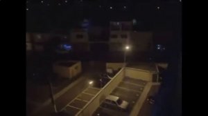 электрошокер фонарь police 1101 инструкция
