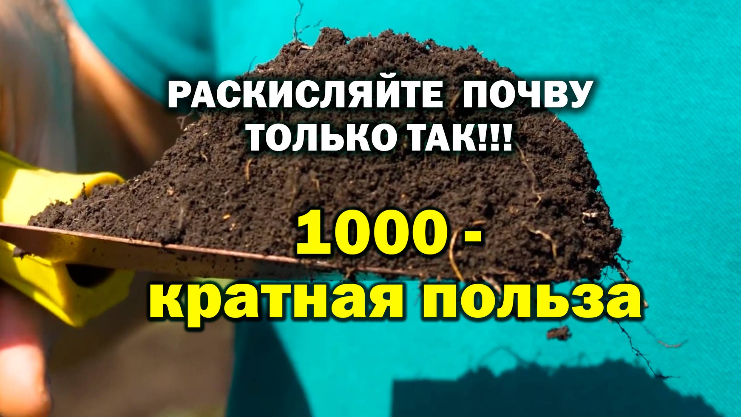 Вы влюбитесь в этот раскислитель почвы!