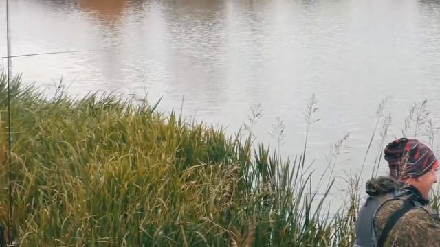 Чемпионат Богородского городского  МО "Ловля спиннингом с берега"